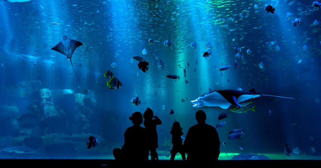 novo-aquario-foz-iguacu-aqu